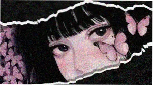 动漫番剧专题banner